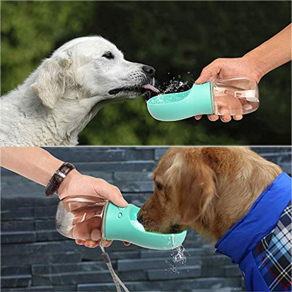 Gourde pour Chien - Deux chiens buvant à l'extérieur avec la gourde turquoise