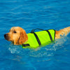 Gilet de sauvetage pour chien en pleine nage dans une piscine