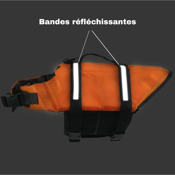 Gilet de sauvetage pour chien avec bandes réfléchissantes pour la nuit.