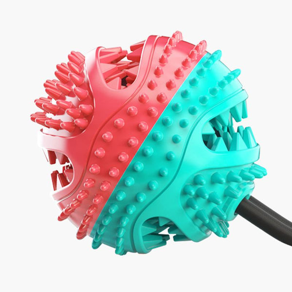 Gros plan de la balle texturée du jouet à mâcher pour chien