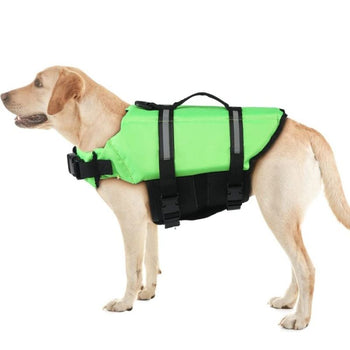 Gilet de sauvetage pour chien ajusté sur Labrador debout.