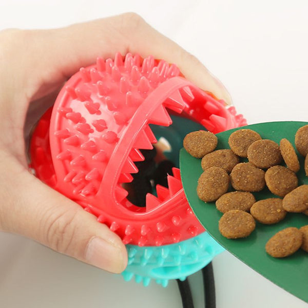 Main remplissant le jouet à mâcher pour chien avec des croquettes