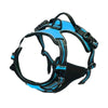 Harnais Anti Traction bleu - Vue complète du harnais.