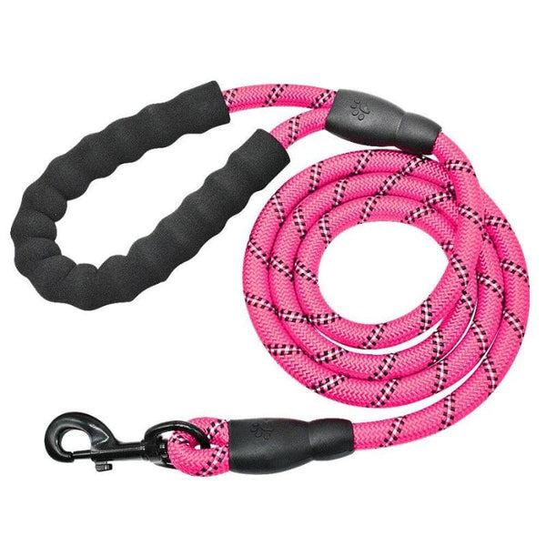 Laisse pour Chien Indestructible rose fluo pour promenade