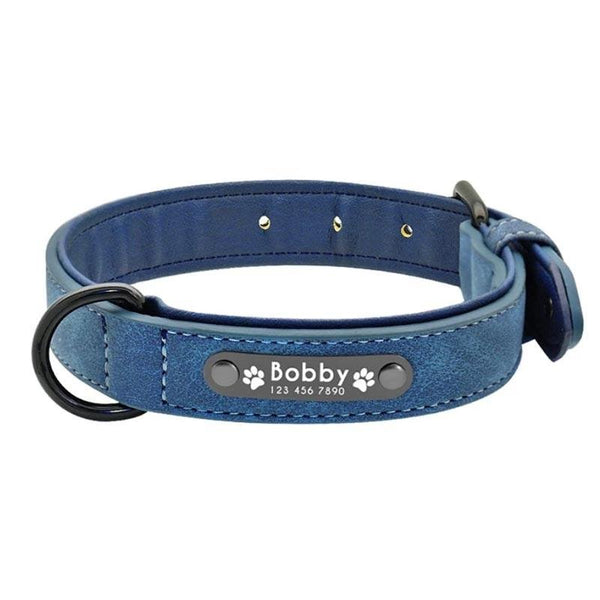 Collier pour Chien Personnalisé en cuir bleu avec plaque gravée