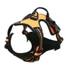 Harnais Anti Traction orange - Vue complète du harnais.