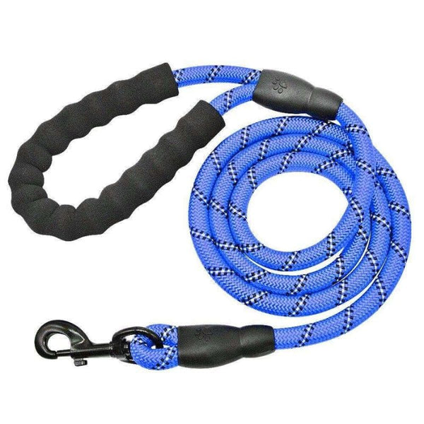 Laisse pour Chien Indestructible bleue pour chien actif