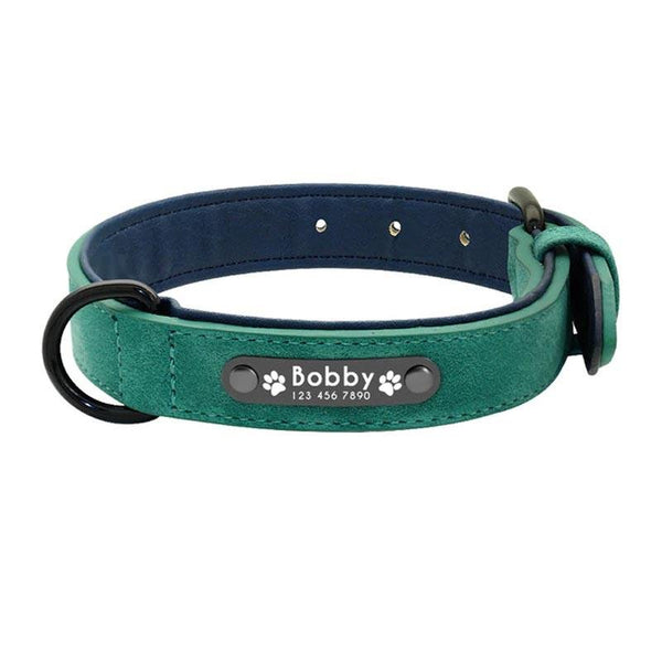 Collier pour Chien Personnalisé en cuir vert avec plaque gravée
