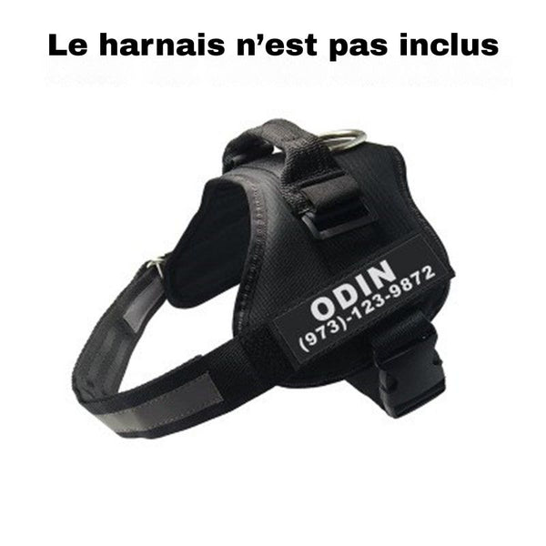 Étiquette personnalisée "ODIN" sur harnais noir avec mention "Le harnais n’est pas inclus"