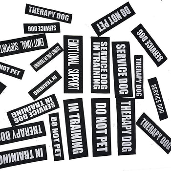 Ensemble d’étiquettes personnalisées pour harnais avec différents textes comme