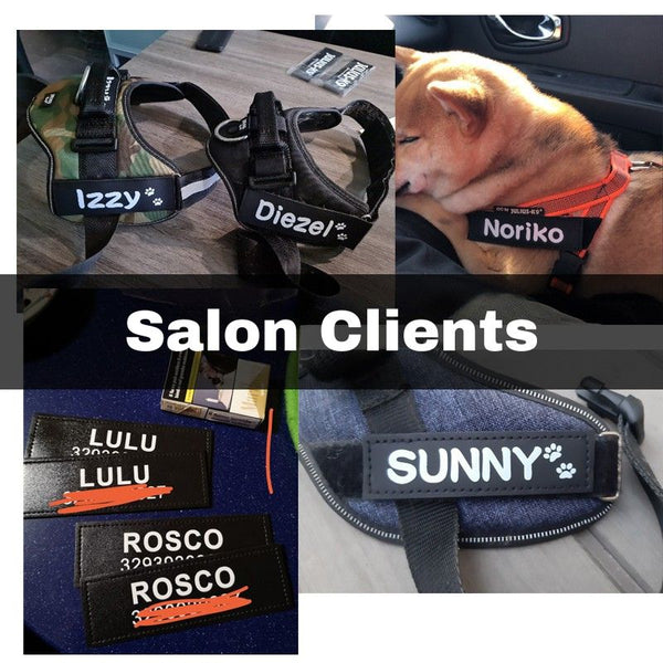 Exemples de harnais avec étiquettes personnalisées de clients portant les noms "Izzy", "Diezel", "Noriko", "LULU", "ROSCO" et "SUNNY"