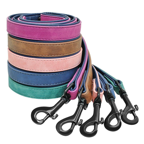 Collier pour Chien Personnalisé – Laisse assortie multicolore en cuir suédé