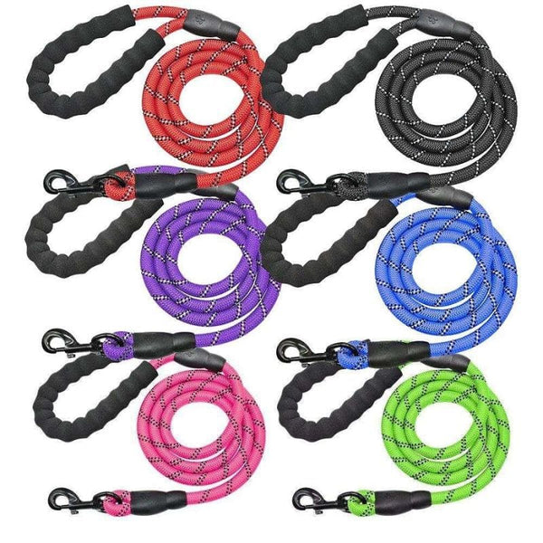 Lot de 6 laisses pour Chien Indestructibles multicolores