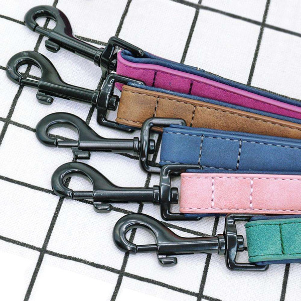 Collier pour Chien Personnalisé – Laisses de différentes couleurs vues de près