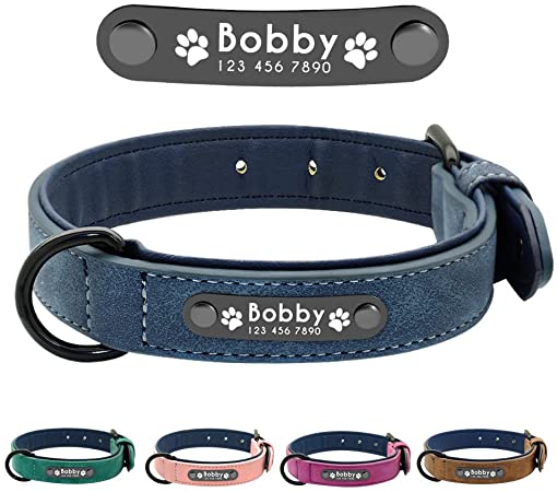 Collier pour Chien Personnalisé – Collier bleu en gros plan avec choix de coloris