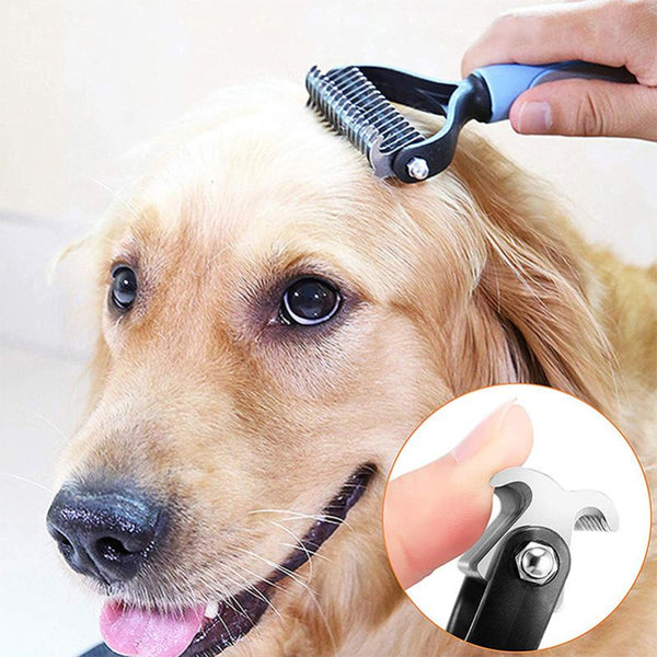 Brosse de démêlage pour Chien utilisée sur le pelage d’un Golden Retriever