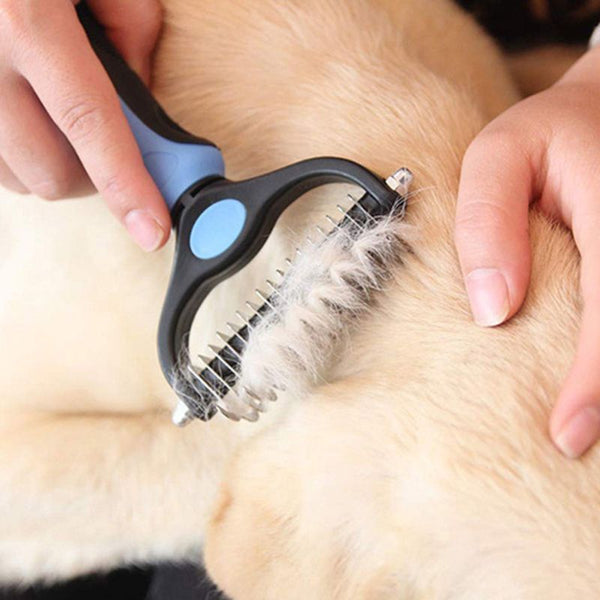 Brosse de démêlage pour Chien pendant le brossage d’un chien à poils courts