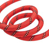 Zoom sur la corde en nylon rouge d'une Laisse pour Chien Indestructible