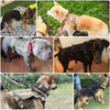 Montage photo de plusieurs chiens portant le Harnais Tactique Anti-Traction en différentes couleurs.