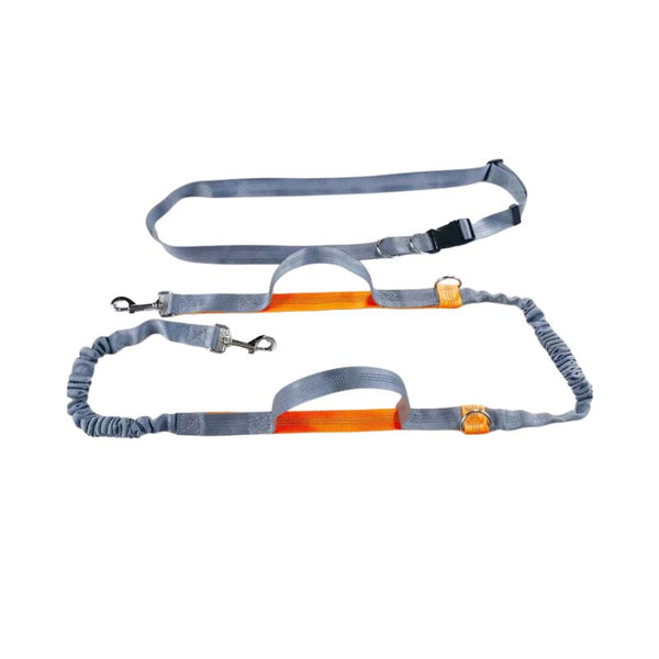 Laisse mains libres pour chien couleur grise et orange vue à plat