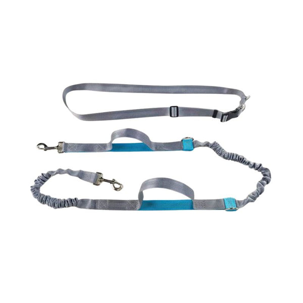 Laisse mains libres pour chien couleur grise et bleue vue en détail