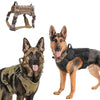 Harnais Tactique Anti-Traction camouflage porté par deux bergers allemands