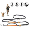 Présentation de la laisse mains libres pour chien adaptée à la course, au vélo et à la randonnée