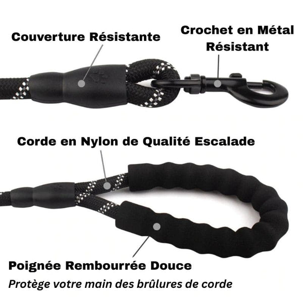Détails techniques de la Laisse pour Chien Indestructible en nylon