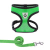 Harnais d'été respirant petit chien vert avec laisse assortie.