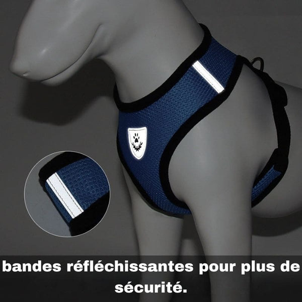 Harnais d'été respirant petit chien bleu avec bandes réfléchissantes.