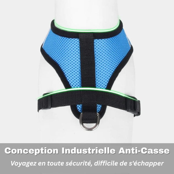 Harnais d'été respirant petit chien bleu avec conception industrielle anti-casse.