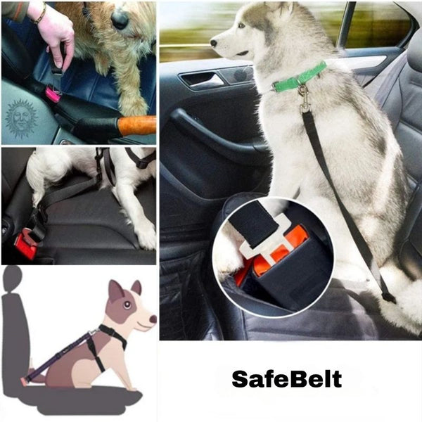 Ceinture de Sécurité pour Chien SafeBelt avec attache rapide