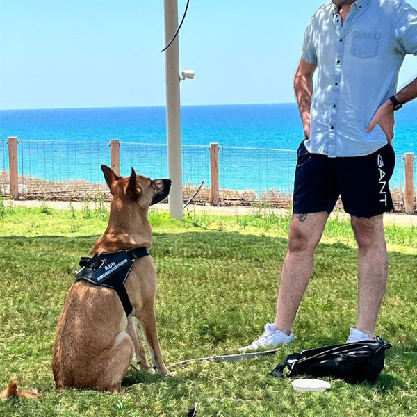 Harnais Anti Traction Personnalisé noir avec poignée renforcée pour promenade sécurisée.