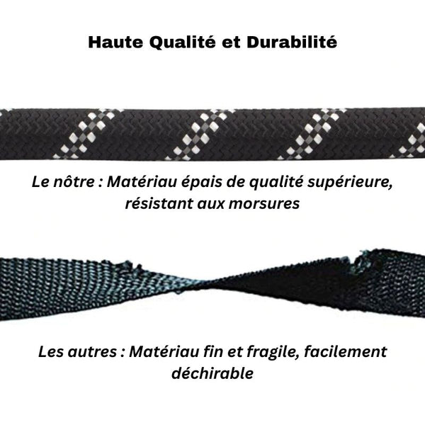 Comparaison de la résistance de la Laisse pour Chien Indestructible