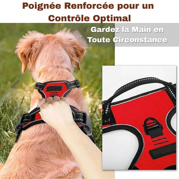 Harnais Anti Traction rouge - Poignée renforcée pour un contrôle optimal.