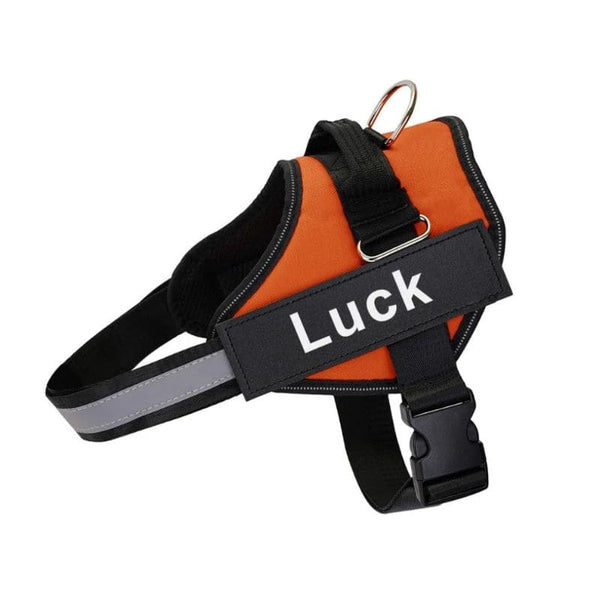 Harnais Anti Traction Personnalisé orange pour chien avec patch nom.