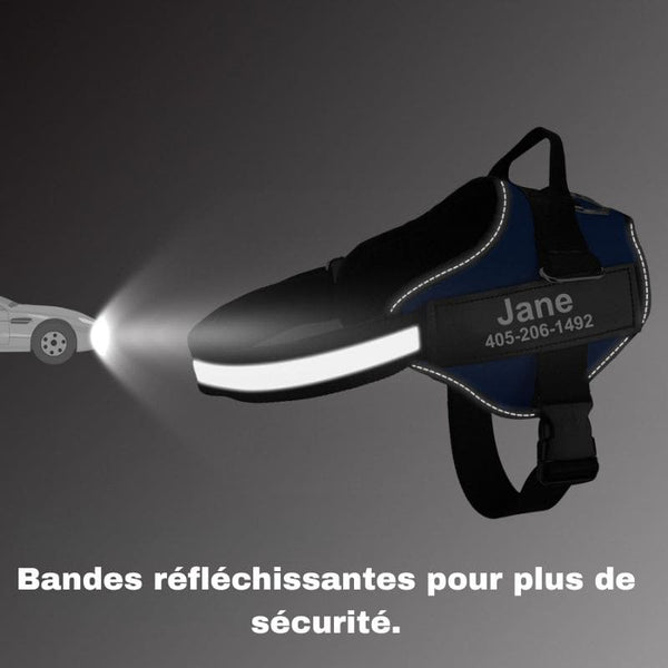 Harnais Anti Traction Personnalisé bandes réfléchissantes pour sécurité nocturne.