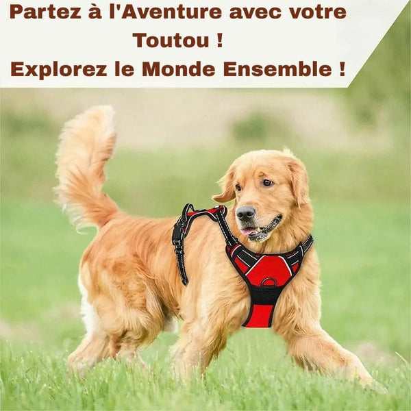 Harnais Anti Traction rouge - Partez à l'aventure avec votre toutou.