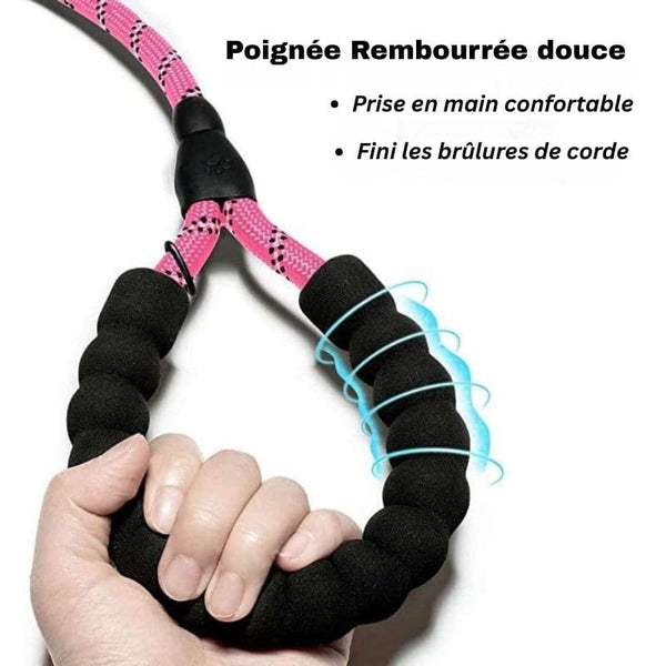 Poignée rembourrée anti-brûlure de la Laisse pour Chien Indestructible