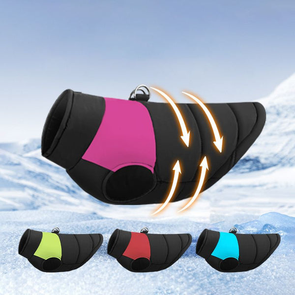 Manteau Imperméable pour Chien noir décliné en plusieurs coloris sur fond glacé