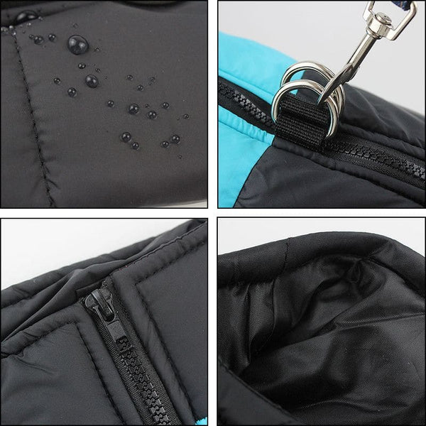 Zoom sur les détails techniques du Manteau Imperméable pour Chien : tissu déperlant, zip, doublure et attache harnais