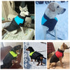 Chiens de différentes races portant un Manteau Imperméable pour Chien en situation réelle à l’intérieur et dans la neige