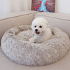 Petit chien blanc confortablement installé dans un Panier Donut moelleux pour chien.