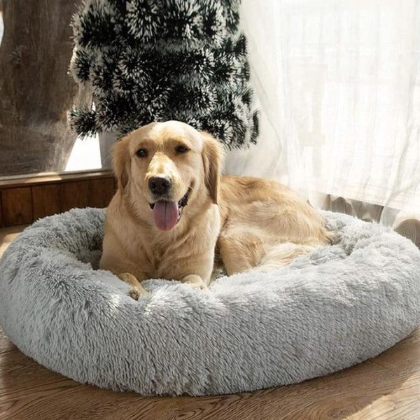 Golden Retriever reposant dans un Panier Donut moelleux pour chien gris clair.