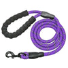Laisse pour Chien Indestructible violette avec poignée confortable