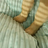 Zoom sur les pattes d'un chien sur un coussin orthopédique pour chien vert.