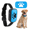 Collier Anti Aboiement bleu pour chien avec motif patte.