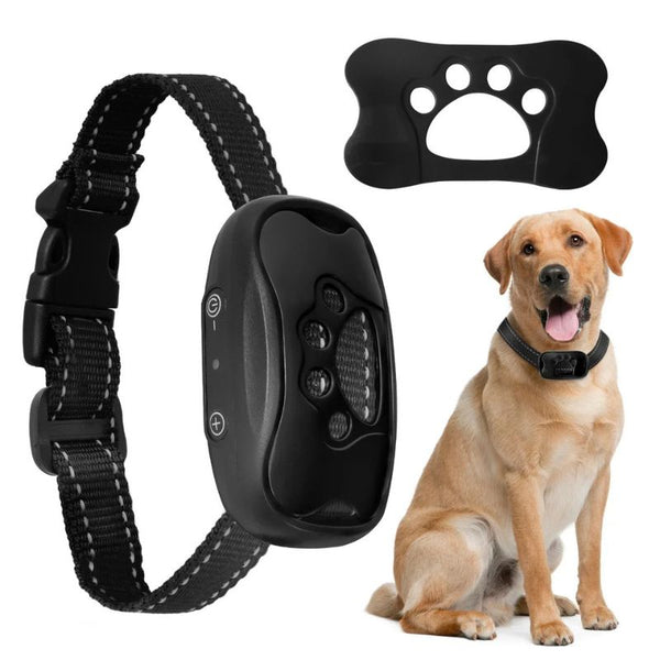 Collier Anti Aboiement noir pour chien avec motif patte.