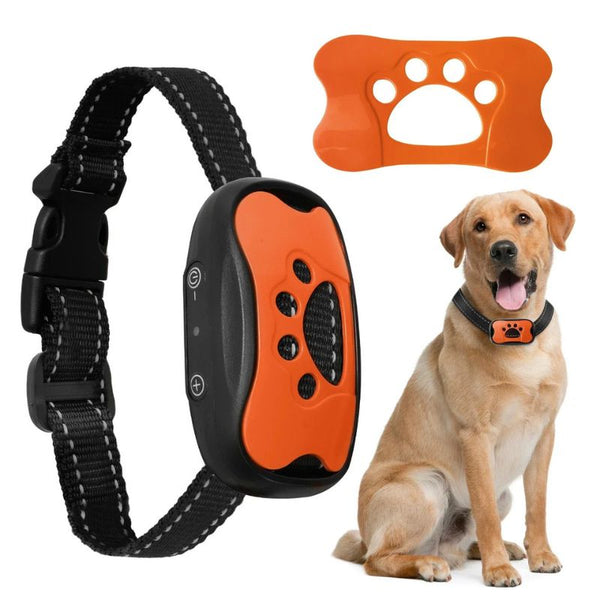 Collier Anti Aboiement orange pour chien avec motif patte.