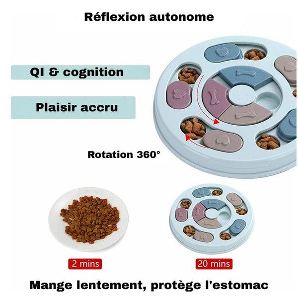 Gamelle anti-glouton - schéma des bénéfices nutritionnels